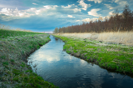 A quiet small river in Stankow, eastern Poland, spring dayの写真素材