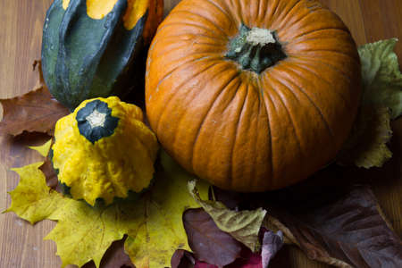 colorful pumpkins