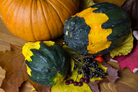 composition of autumn pumpkinsの写真素材