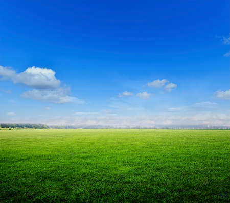 Bright sunset over green field.の写真素材
