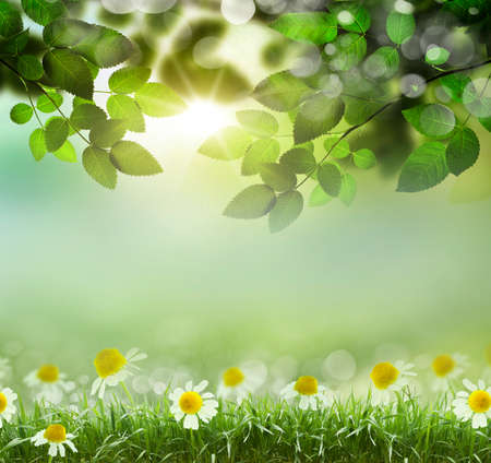 natural green background with selective focus