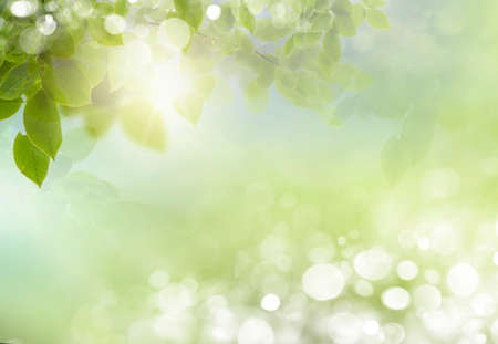 Eco nature / green and blue abstract defocused background with sunshine Eco nature / green and blue abstract defocused background with sunshine