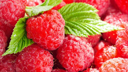 Raspberry berry close-up as a background.