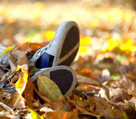 Running shoes in the autumn leaves