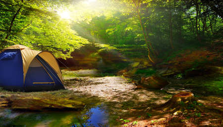tent in a sunny forestの写真素材