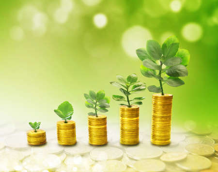 The process of growth of income in the form of the germ, as graphics