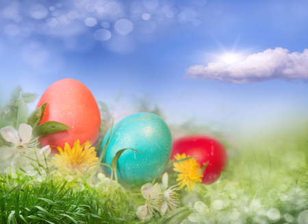 Abstract spring background with grass Defocusの写真素材