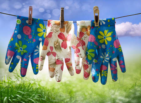 Abstract spring background with grass Defocus. Gloves for working in the garden, vegetable garden in the dryの写真素材