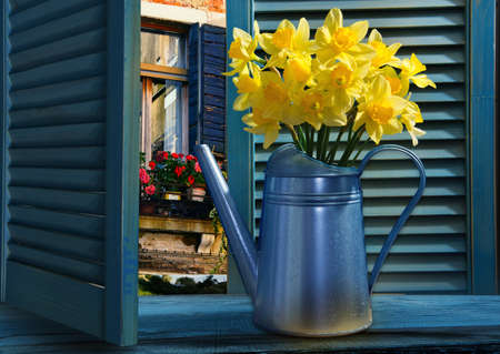  Watering can with daffodils on a blue wooden backgroundの写真素材