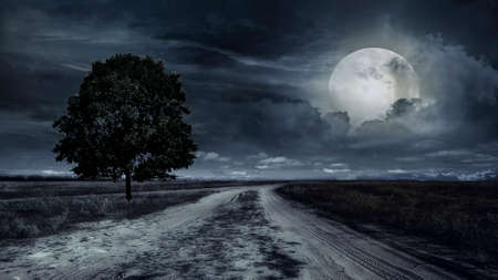 paved road through a field of wheat at night. Storm