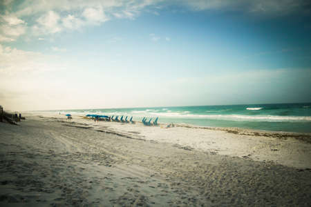 A warm sandy beach の写真素材