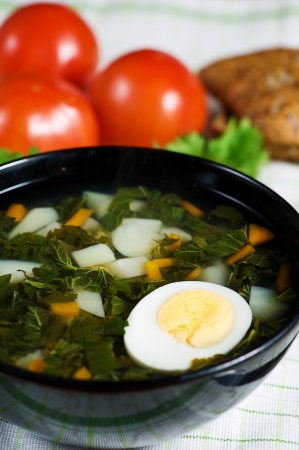 Nettle soup の写真素材