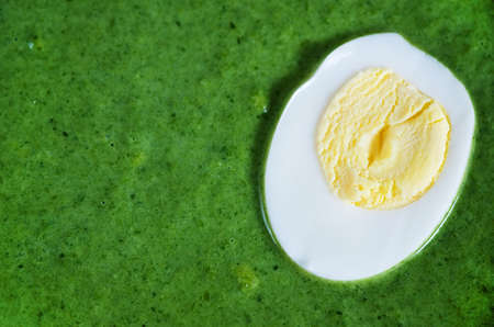 Texture of spinach green cream soup の写真素材