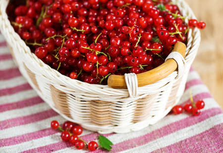 Ripe red currant in the basketの写真素材