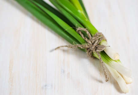 Green onion の写真素材