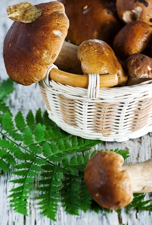 Mushrooms on the basket and fern の写真素材