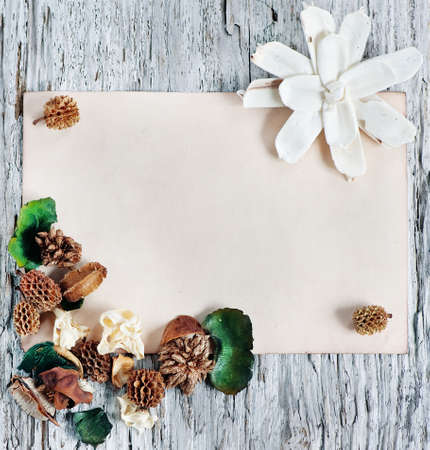 Dry plants background with paper on the old woodの写真素材