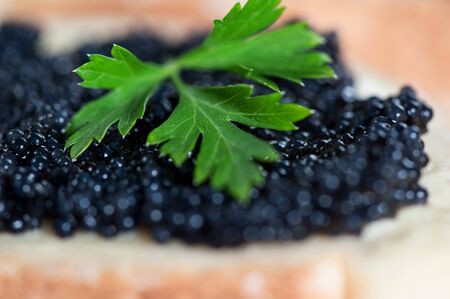 Black caviar on a slice of bread with leaf of parsley