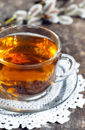 Cup of tea with branch of willow の写真素材