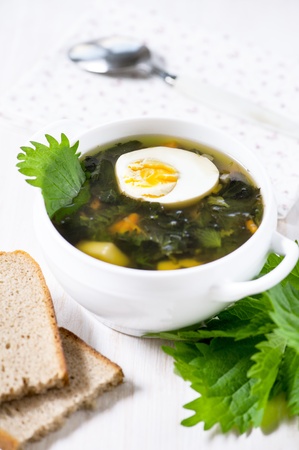 Nettle soup with egg in the white plate and breadの写真素材