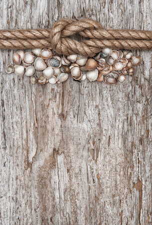 Ship rope, sea shells and old wood backgroundの写真素材