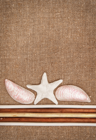 Burlap linen with wooden sticks and seashells