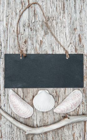 Chalkboard with dry branch and seashells on the old wood backgroundの写真素材