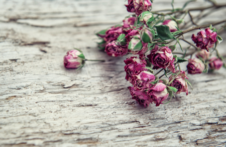Dry tea rose flowers frame on old wooden backgroundの写真素材