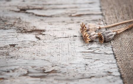Grunge dark background with dry plants on the old wood and sackclothの写真素材