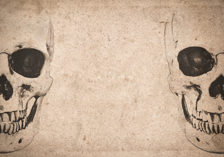 Halloween background with human skull on old vintage newspaperの写真素材