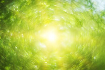 Abstract blurry spring nature bokeh background with sunlightの写真素材