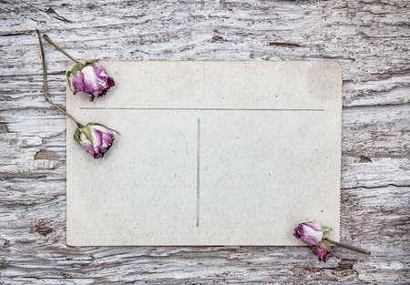 Vintage postcard and dry tea roses on the old wooden backgroundの写真素材