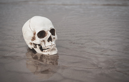 Human skull on the wet sand. Halloween backgroundの写真素材