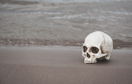 Human skull on the wet sand. Halloween backgroundの写真素材