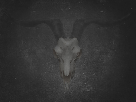 Goat skull with horns on dark background. Halloween grunge bannerの写真素材
