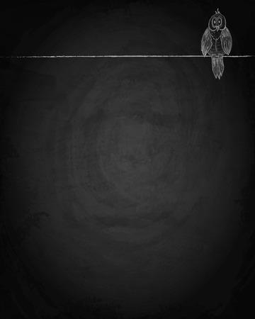 Hand drawn bird on chalkboard background. Vector illustration.のイラスト素材