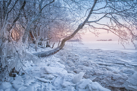 Cold winter landscape with snow, ice and tree outdoorの写真素材