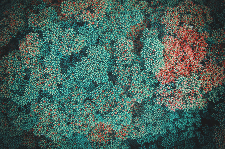 Beautiful green plant texture. Creative background for designの写真素材