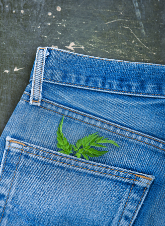 Blue jeans pocket with plant branch on the old wooden background. Mockup for design