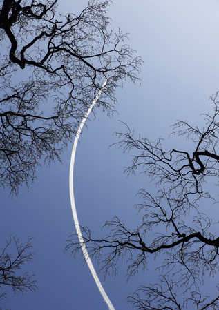 The trail of flying airplane in clear blue sky and black tree branches