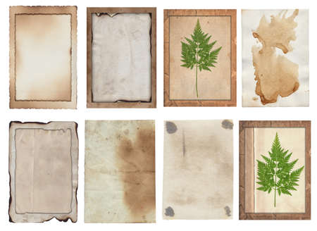 Set of Old various vintage rough paper with scratches, stains and dry plants texture isolated on...
