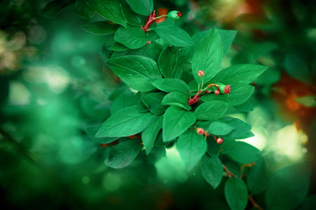 Natural green summer leaves pattern background for design