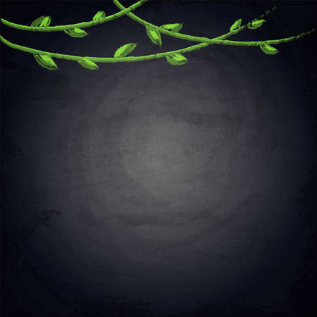 Chalkboard blackboard background for design with hand drawn plants branchesのイラスト素材
