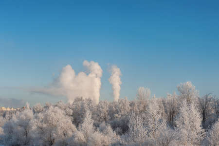 Winter landscape with frosty trees in city park and smoke of factories