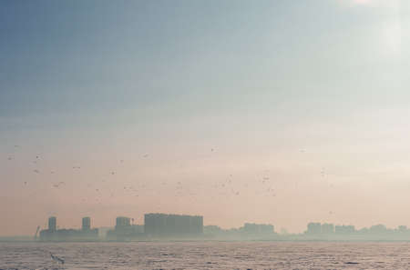 Winter city frozen landscape with flying flock of birds