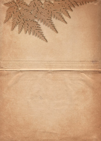 Old vintage rough paper background with plant relief textureの写真素材