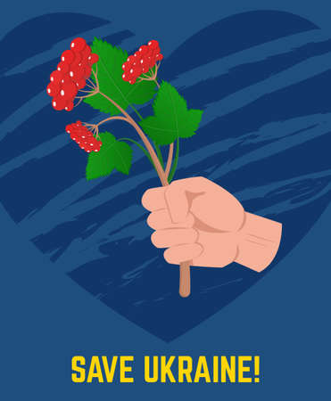 Human hand holding red viburnum branch on the blue heart background. Ukraine support conceptのイラスト素材