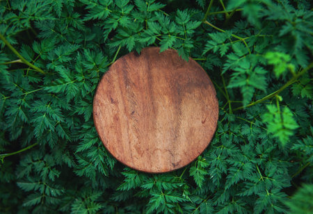Mock up wooden empty round board on the green leaves. Layout for designの写真素材