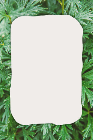 Abstract nature background with green plant leaves and creative frame for design