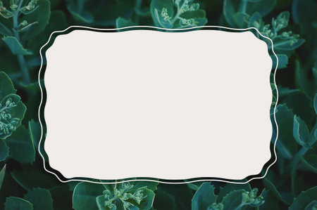 Abstract nature background with green plant leaves and creative frame for design